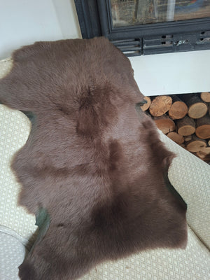 Toscana Shearling Pelts